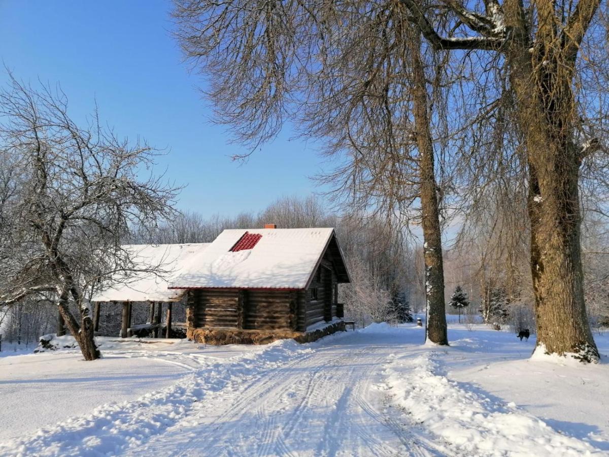 Apartmán Country House Podini Mālpils Exteriér fotografie
